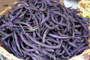 purple pole beans