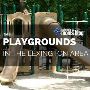 top 5 guide playgrounds in lexington