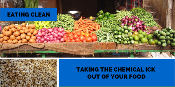 Eating Clean :: Taking the Chemical Ick Out of Your Food