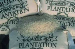 carolina plantation rice