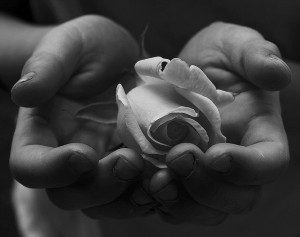 hand with rose