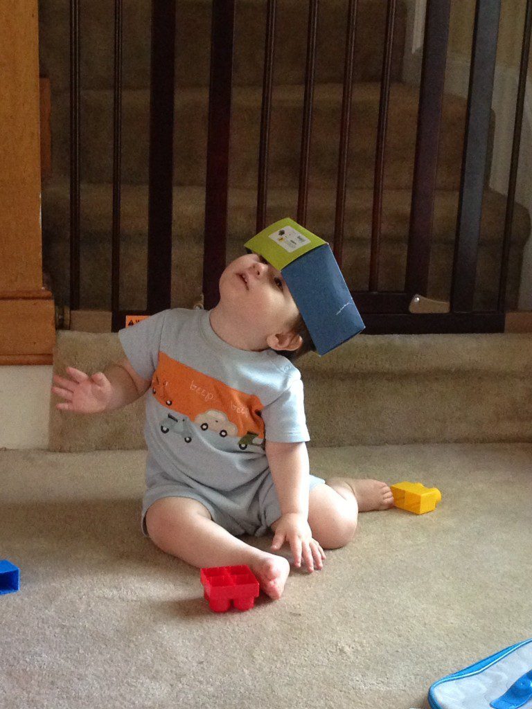 Why would I play with these blocks when I can put a shoe box on my head?