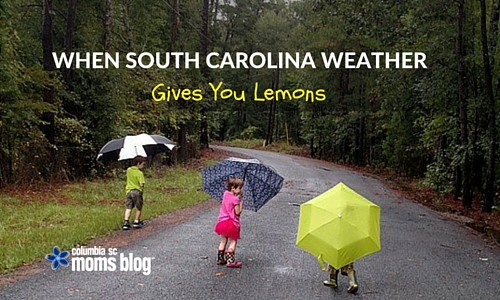 When South Carolina Weather Gives You Lemons…