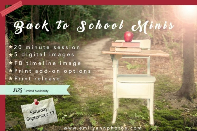 Back to School Minis with Emily Ann Photography