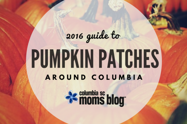 Guide to Pumpkin Patches Around Columbia- Columbia SC Moms Blog