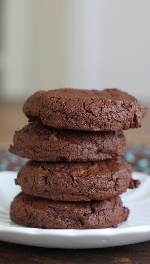 Spicy Chocolate Cookies via the Columbia City Moms Blog