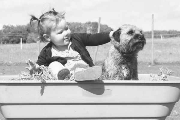 The Hard Truth About Toddlers and Dogs
