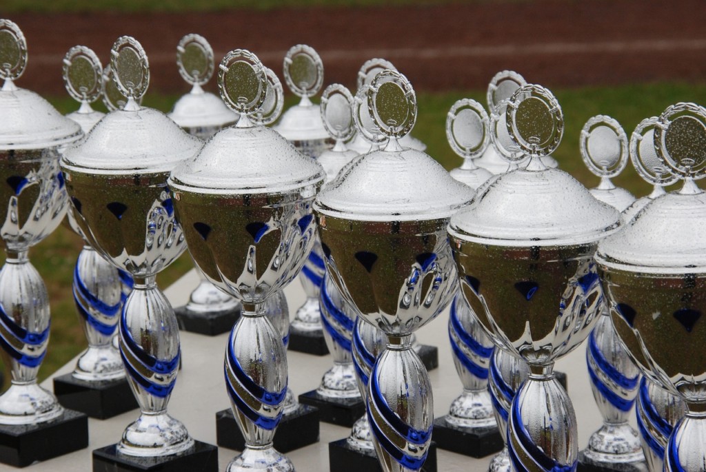 https://pixabay.com/en/sports-cup-trophy-winner-1569591/