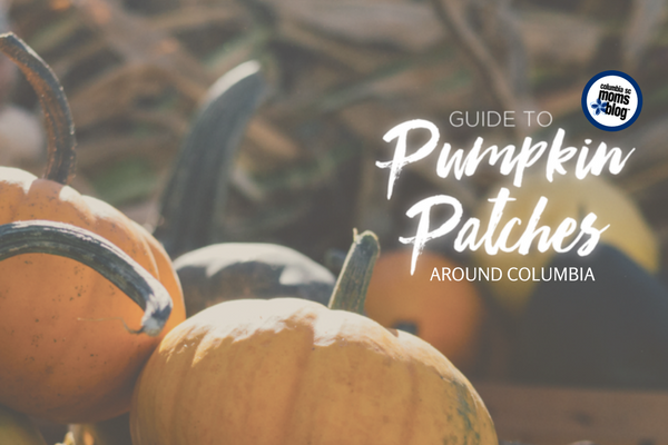 Guide to Pumpkin Patches Around Columbia | Columbia SC Moms Blog