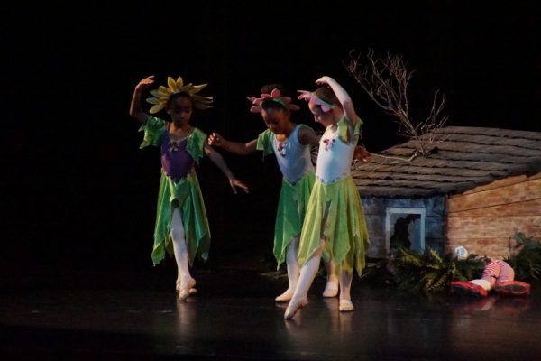 Pavlovich Dance School 3