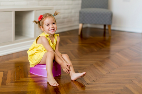 Selecting the Right Potty Training Products | Columbia SC Moms Blog