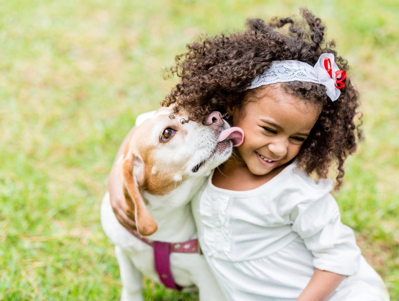 5 Lessons Kids Learn From Pets | Columbia SC Moms Blog