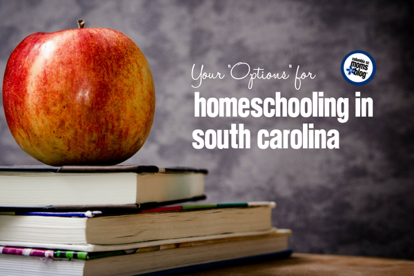 Your Options For Homeschooling in South Carolina | Columbia SC Moms Blog