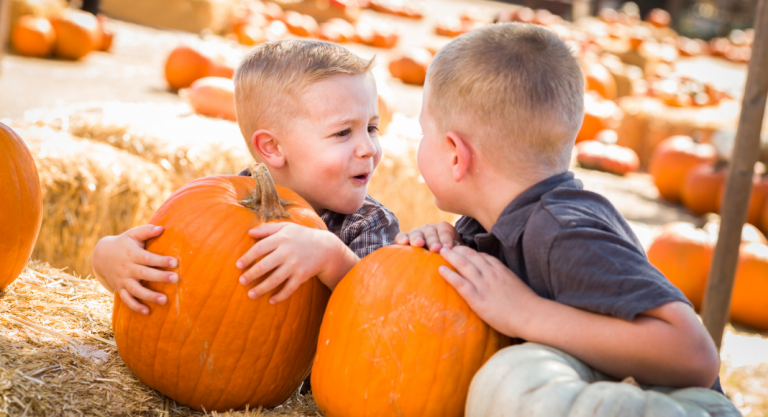 Guide To Columbia Area Pumpkin Patches